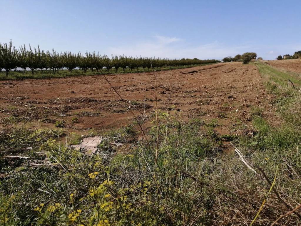Rustico / casale a Pachino in Sp 6 S.N.C. - Foto 2