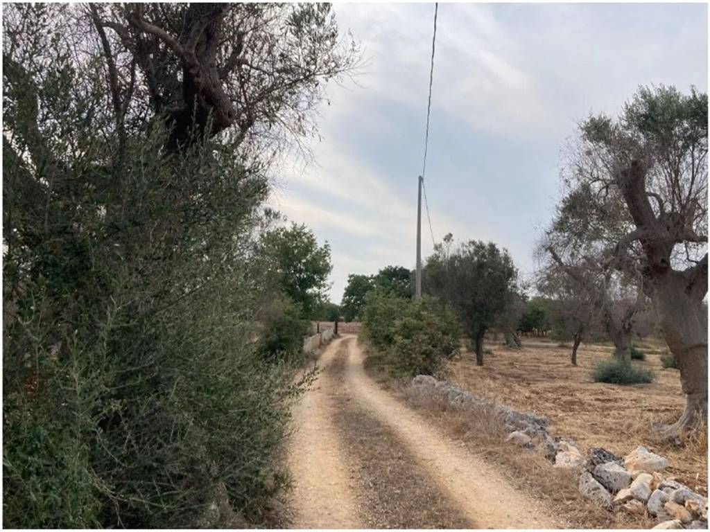 Terreno a Carovigno in Contrada Puspo S.N.C. - Foto 4