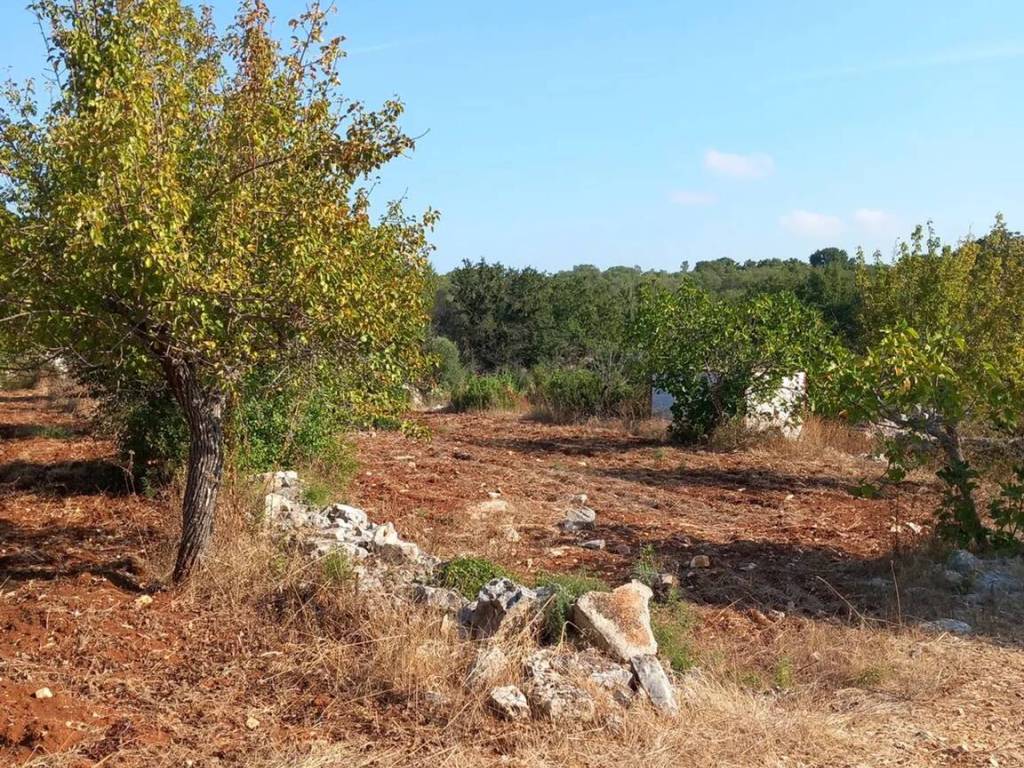 Terreno a Ceglie messapica in Contrada Monte Marcucci S.N.C. - Foto 2
