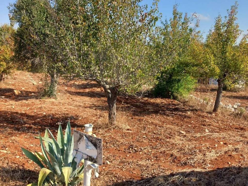Terreno a Ceglie messapica in Contrada Monte Marcucci S.N.C. - Foto 4