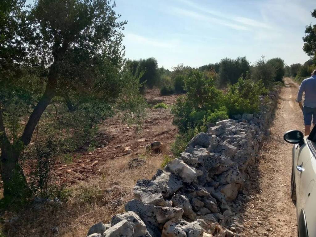 Terreno a Ceglie messapica in Contrada Monte Marcucci S.N.C. - Foto 5