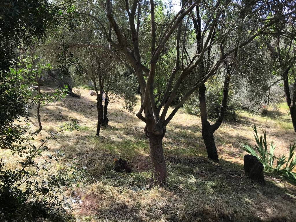 Terreno a Quartu sant'elena in Via delle Orchidee, 49 - Foto 2