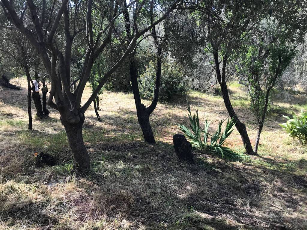 Terreno a Quartu sant'elena in Via delle Orchidee, 49 - Foto 3