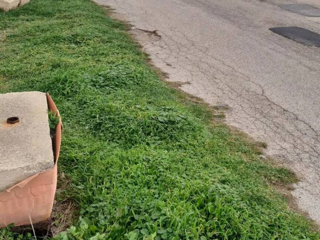 Terreno a Ostuni in Diana Marina S.N.C. - Foto 4
