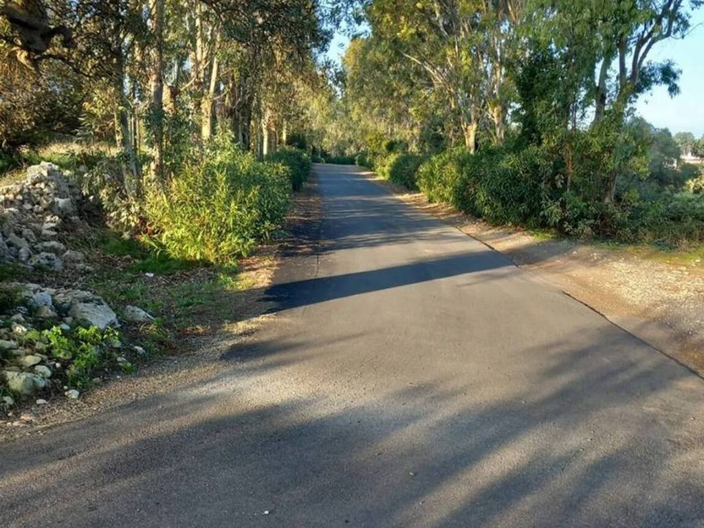 Terreno a Ostuni in Contrada Urselli S.N.C. - Foto 2