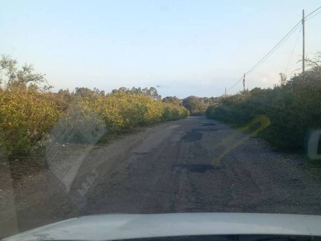 Terreno a Ostuni in Contrada Urselli S.N.C. - Foto 3