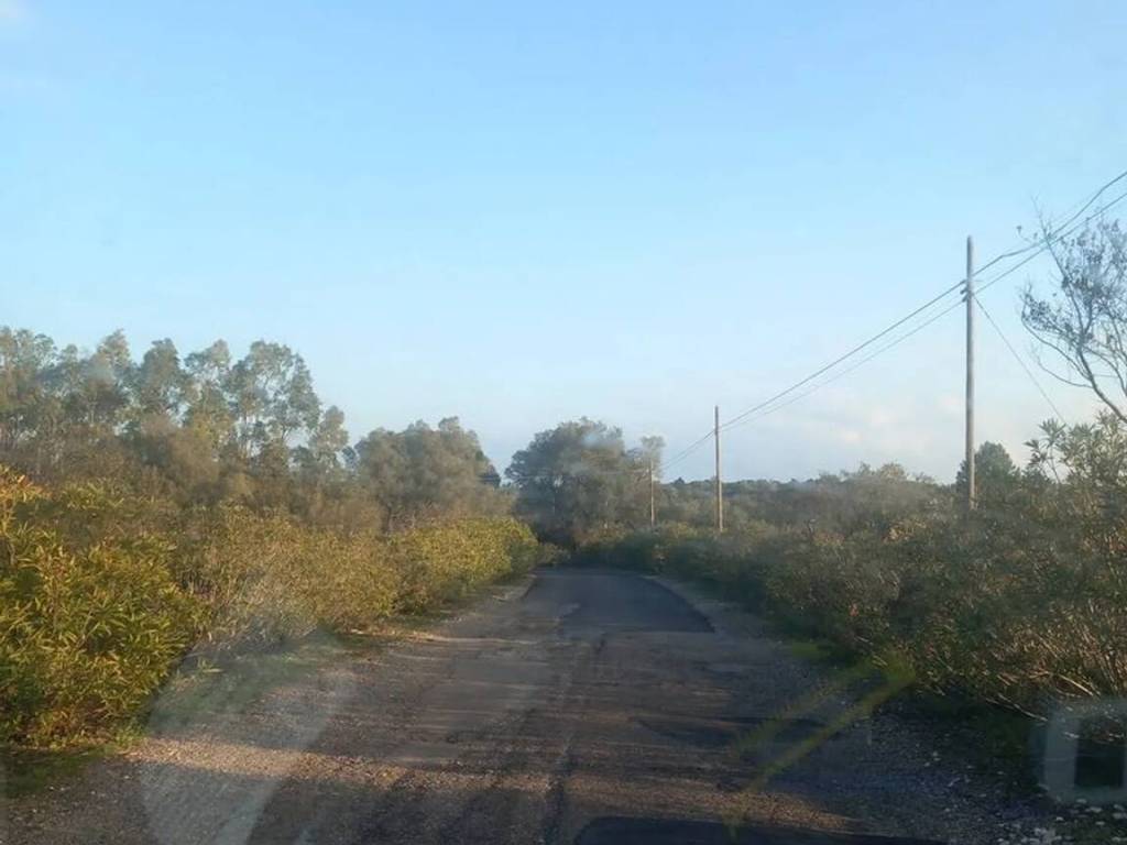 Terreno a Ostuni in Contrada Urselli S.N.C. - Foto 4