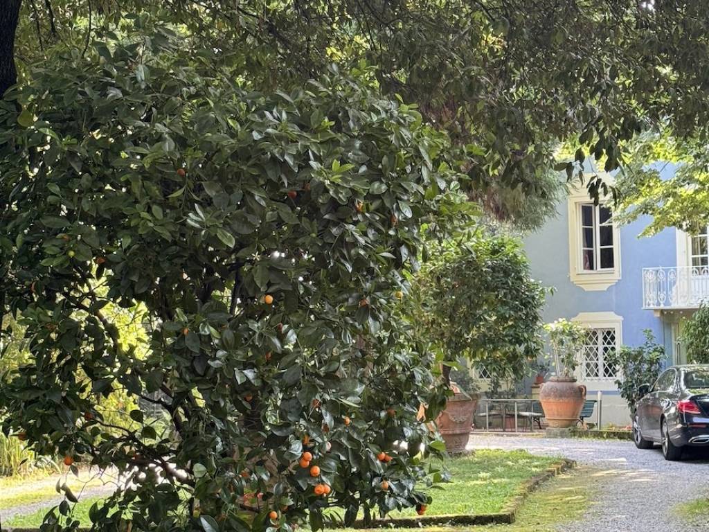 Villa a Lucca - Foto 4