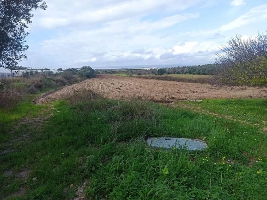 Rustico / casale a Pachino in Granelli S.N.C. - Foto 3