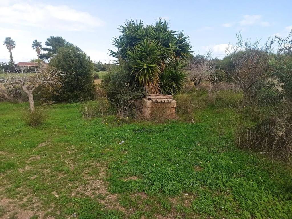 Rustico / casale a Pachino in Granelli S.N.C. - Foto 4
