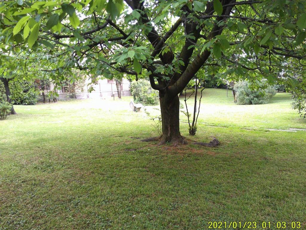 Immobile a Bergamo in Via Pietro Paleocapa - Foto 3