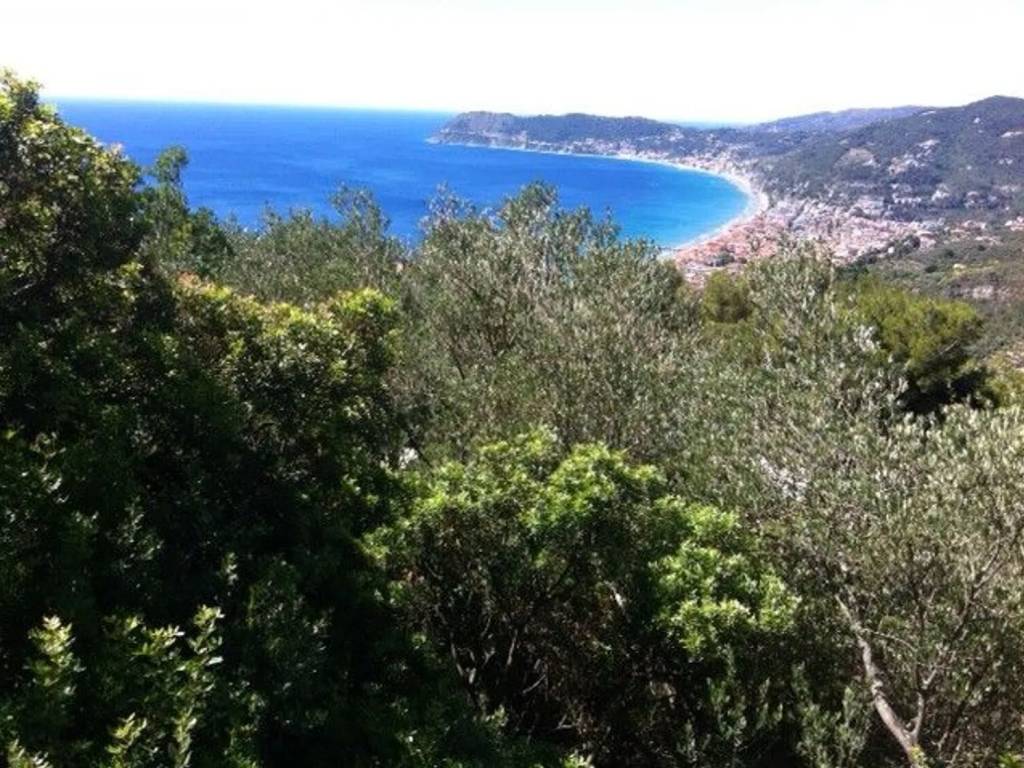 Terreno a Alassio - Foto 2