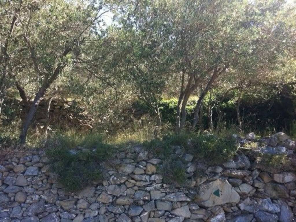 Terreno a Alassio - Foto 5