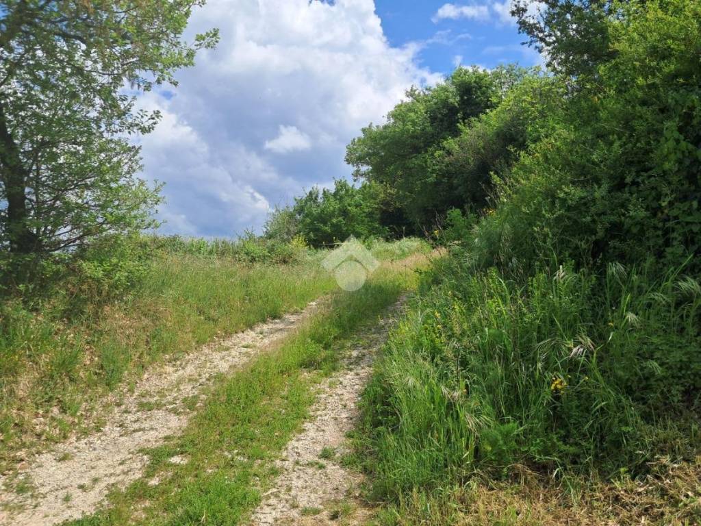 Terreno a Avigliano umbro in Frazione Sismano - Foto 3