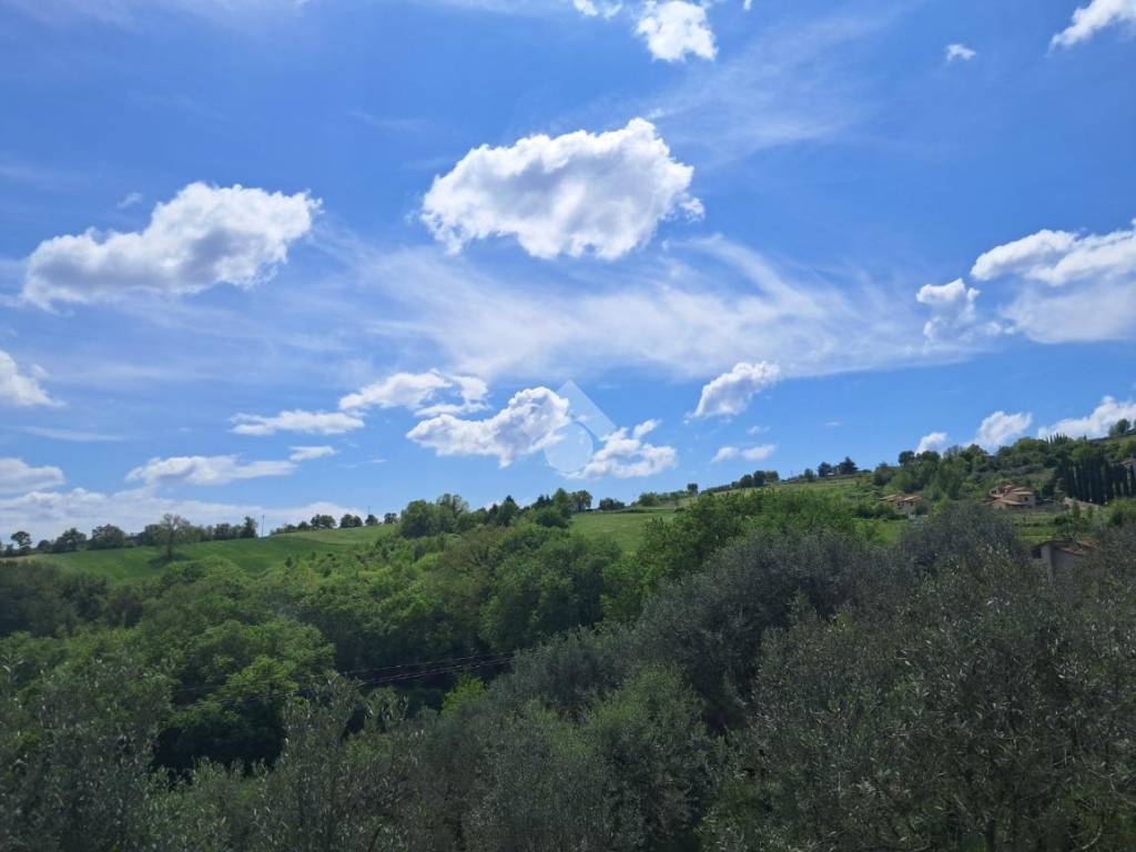 Terreno a Avigliano umbro in Frazione Sismano - Foto 3