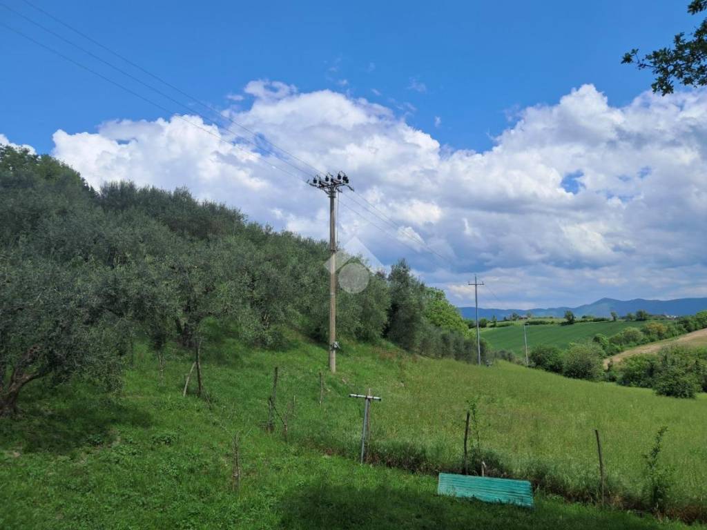 Terreno a Avigliano umbro in Frazione Sismano - Foto 4