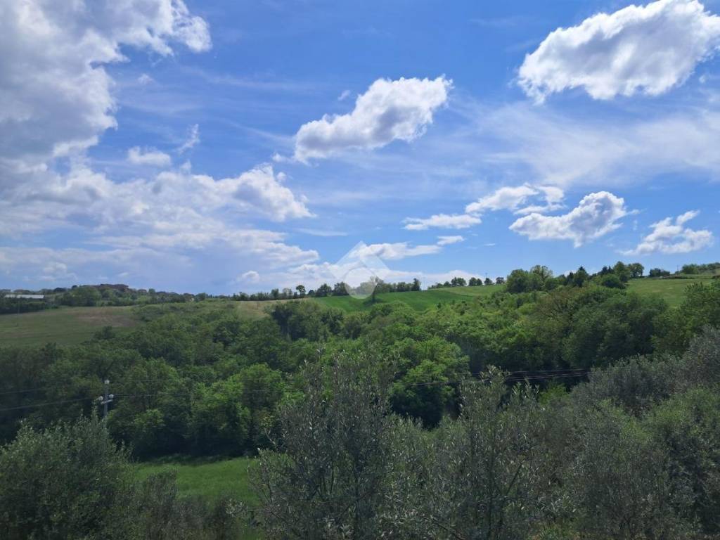 Terreno a Avigliano umbro in Frazione Sismano - Foto 5