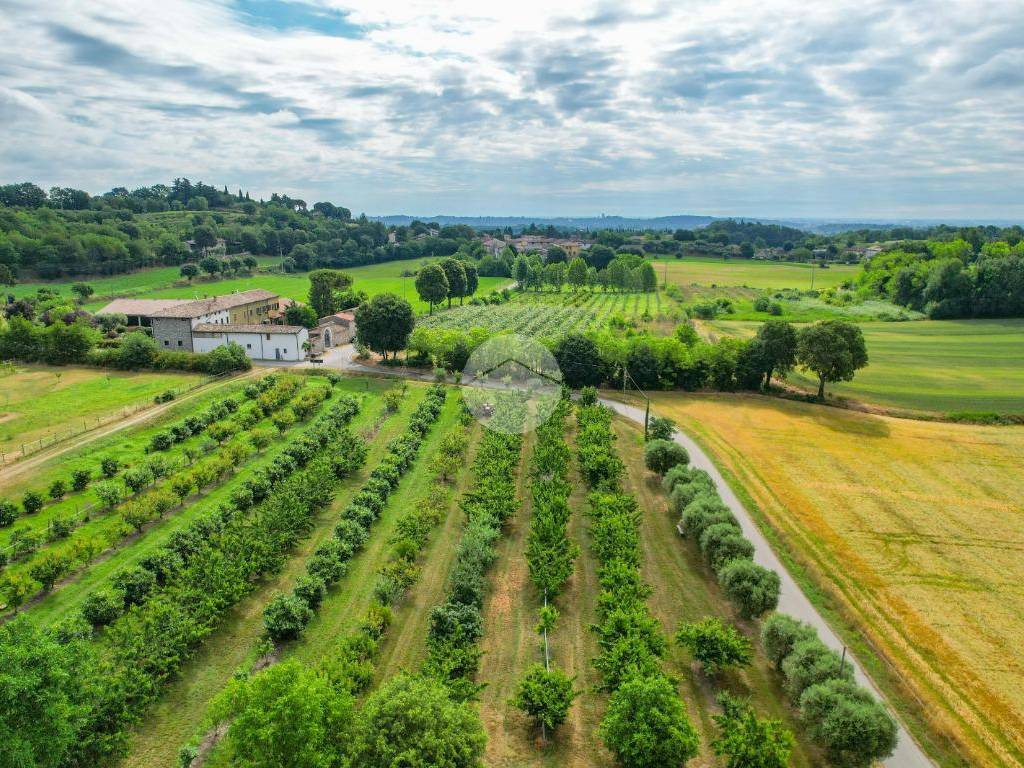 Rustico / casale a Monzambano in Strada tarsi, 15 - Foto 3