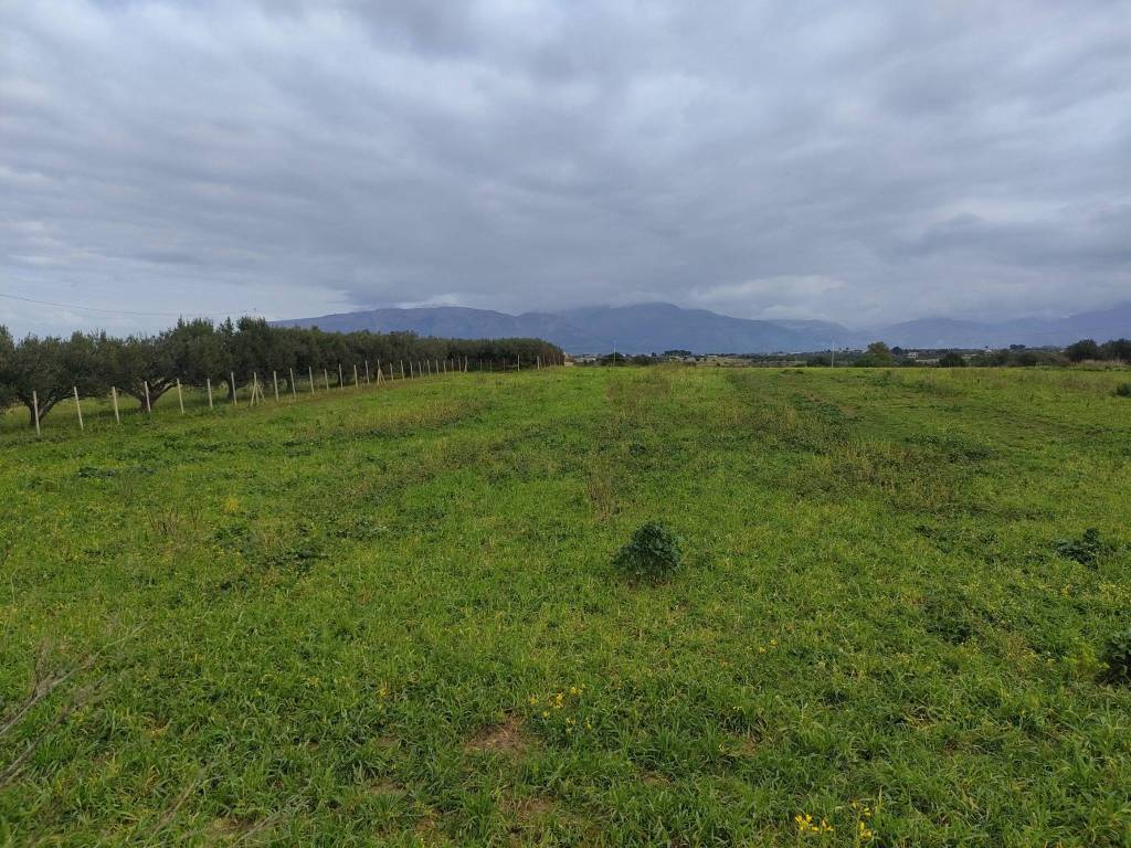 Terreno a Balestrate in Contrada Piano Loggia - Foto 4