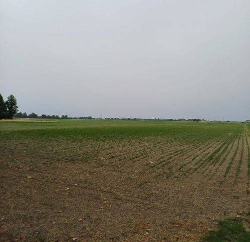 Terreno a Ferrara - Foto 2