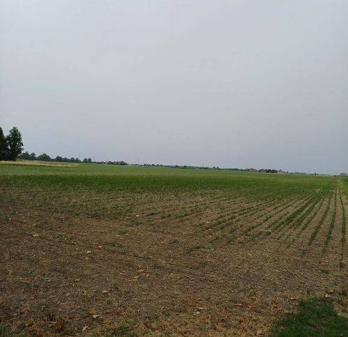 Terreno a Ferrara - Foto 3