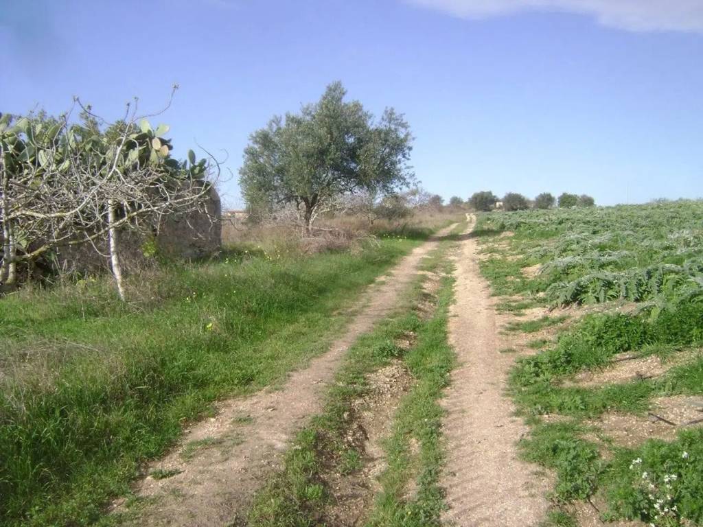 Rustico / casale a Noto in Strada Provinciale 26, 1 - Foto 3