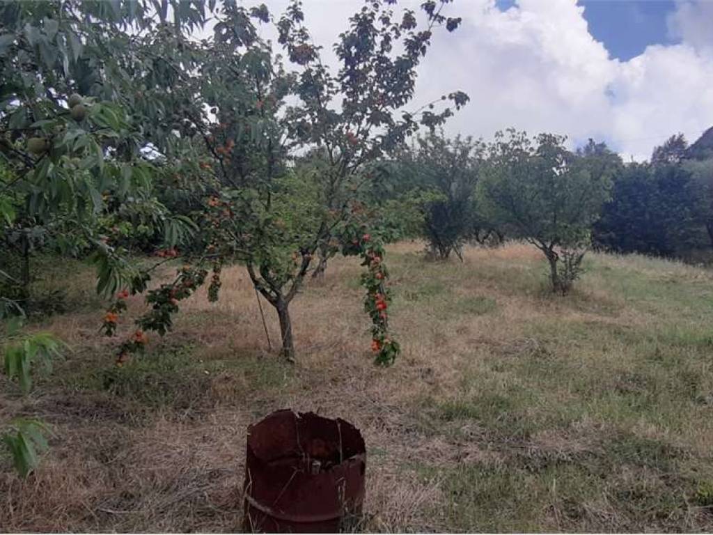 Terreno a Livorno in via delle vallicelle, snc - Foto 3