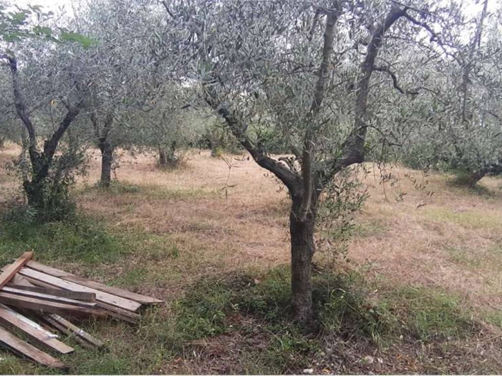 Terreno a Livorno in via delle vallicelle, snc - Foto 4