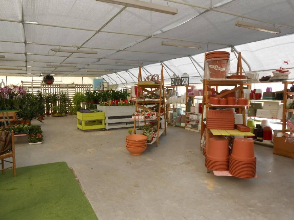 Terreno a Ancona in CONTRADA CASINE DI PATERNO - Foto 3