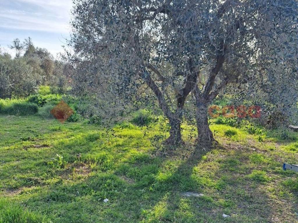 Terreno a Grosseto in Rugginosa Vecchia - Foto 4