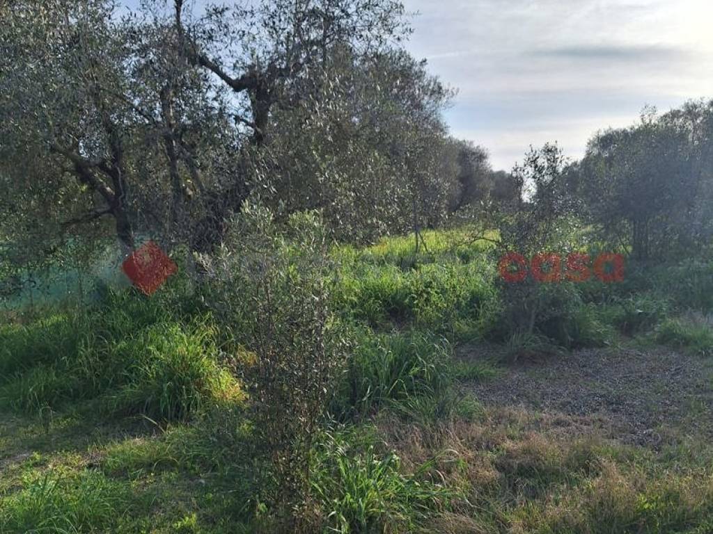 Terreno a Grosseto in Rugginosa Vecchia - Foto 5