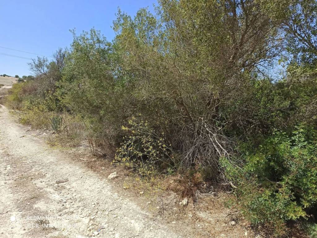 Rustico / casale a Noto in Maccari S.N.C. - Foto 3