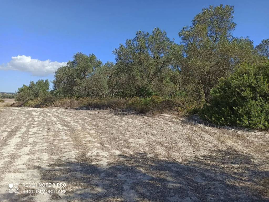 Rustico / casale a Noto in Maccari S.N.C. - Foto 4