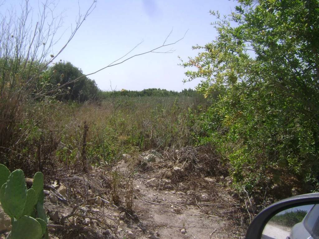 Rustico / casale a Noto in Isola Di Sicilia S.N.C. - Foto 5