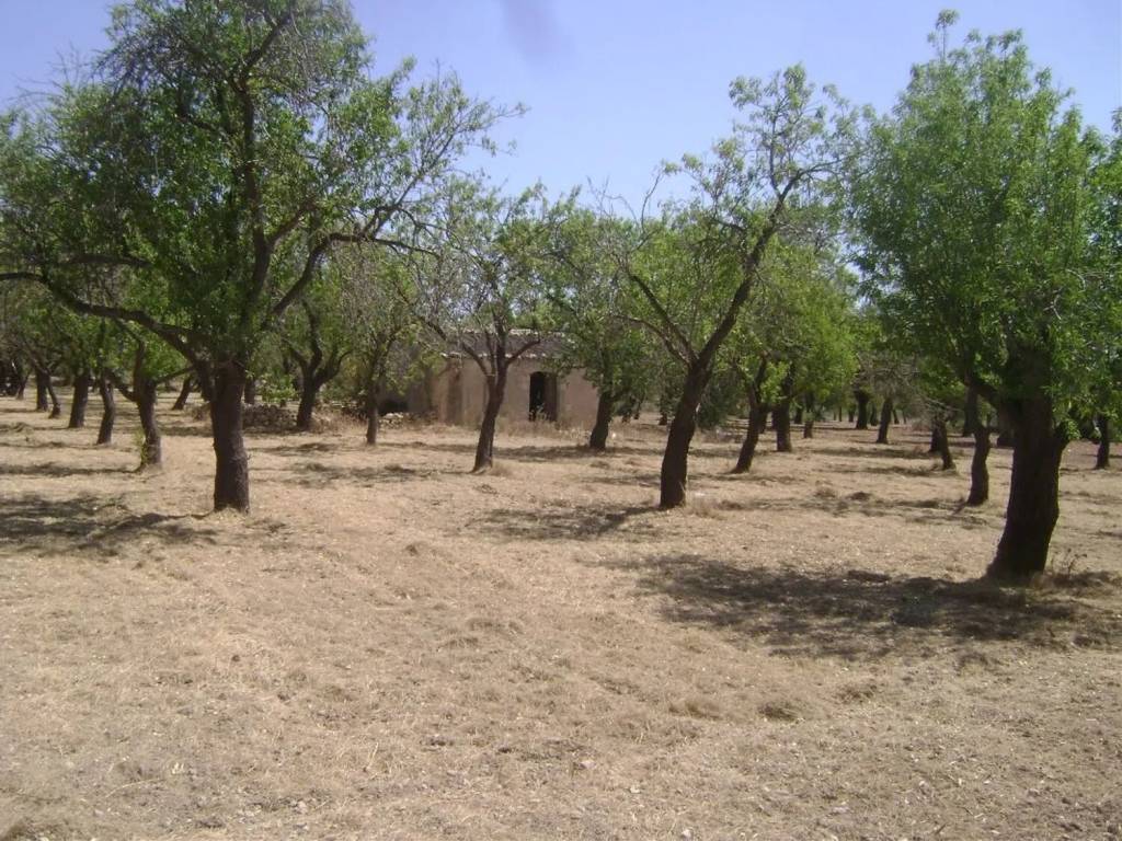 Rustico / casale a Noto in Contrada Vendicari S.N.C. - Foto 2