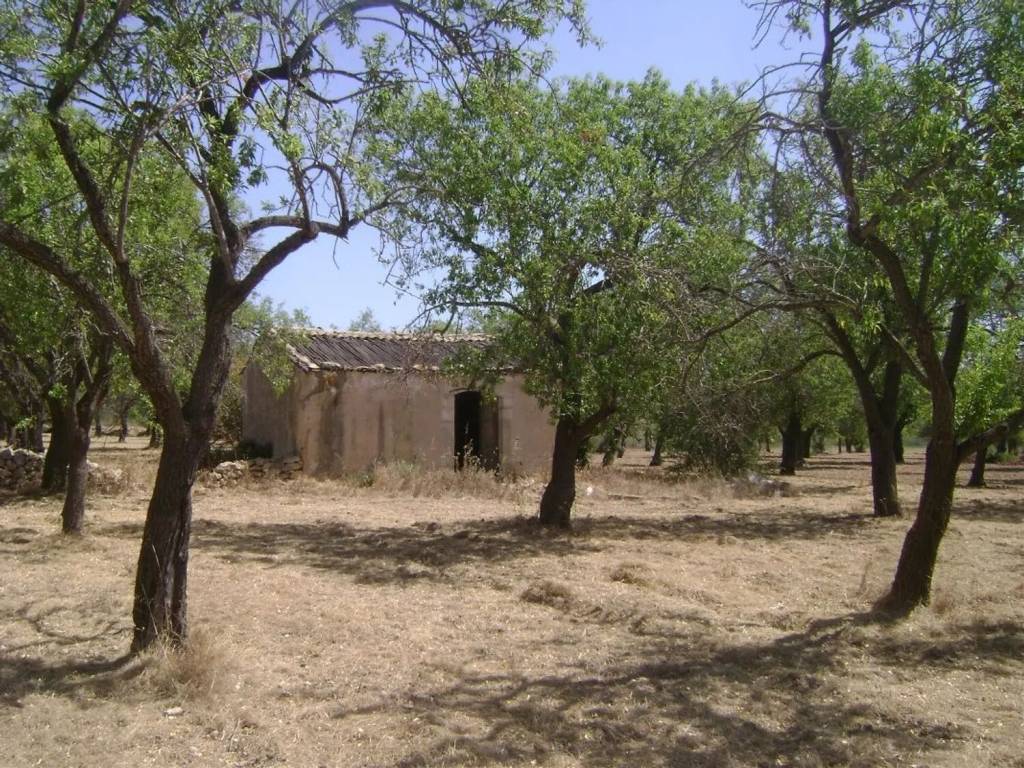 Rustico / casale a Noto in Contrada Vendicari S.N.C. - Foto 3