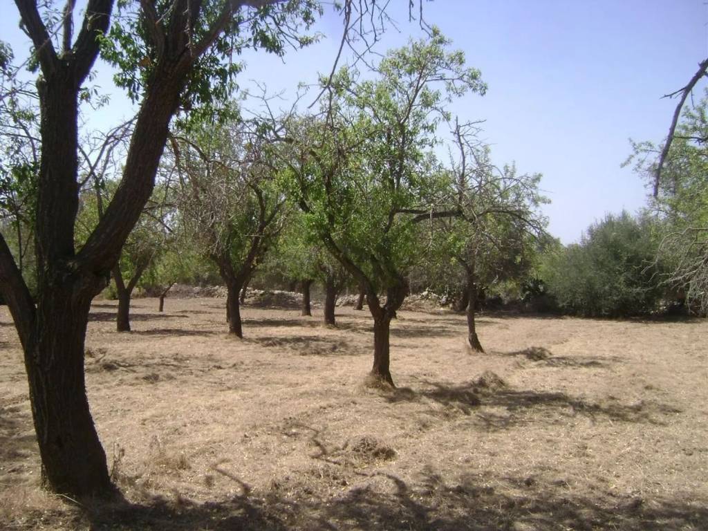 Rustico / casale a Noto in Contrada Vendicari S.N.C. - Foto 4