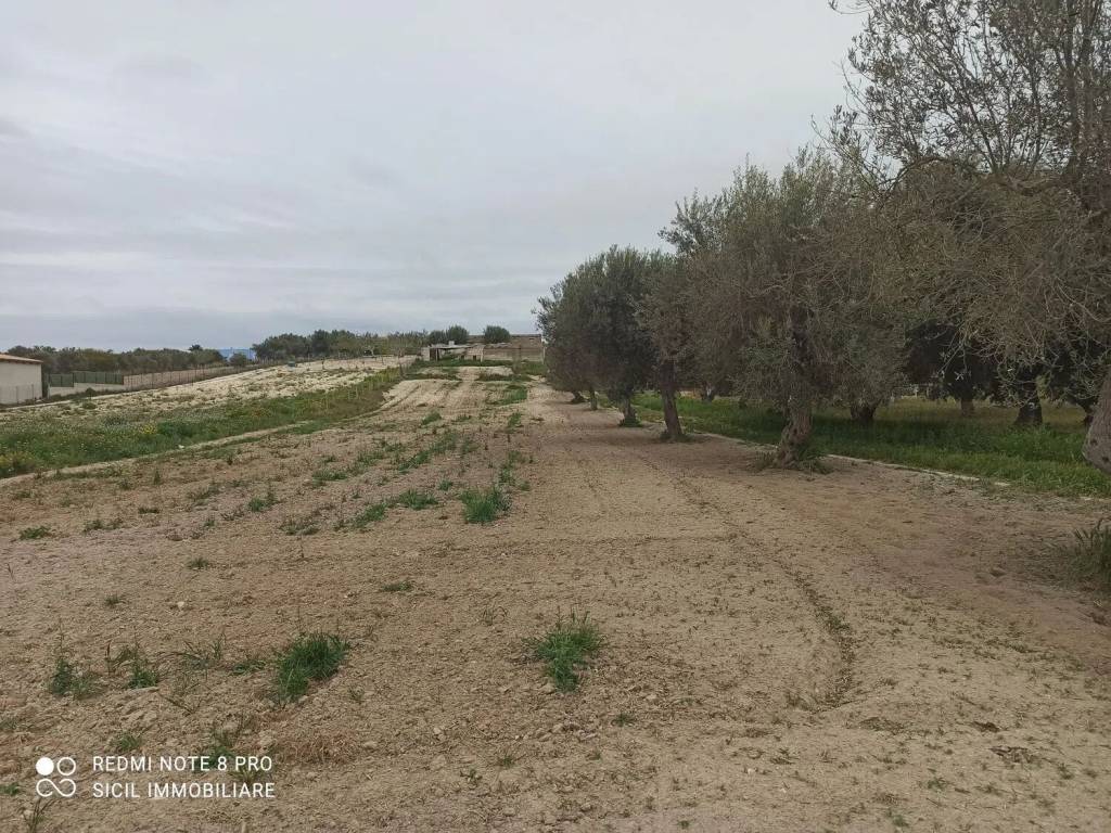 Rustico / casale a Pachino in Contrada Triona S.N.C. - Foto 4