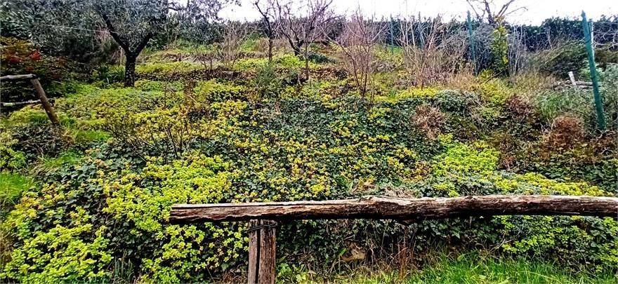 Villetta a schiera a Pistoia - Foto 5
