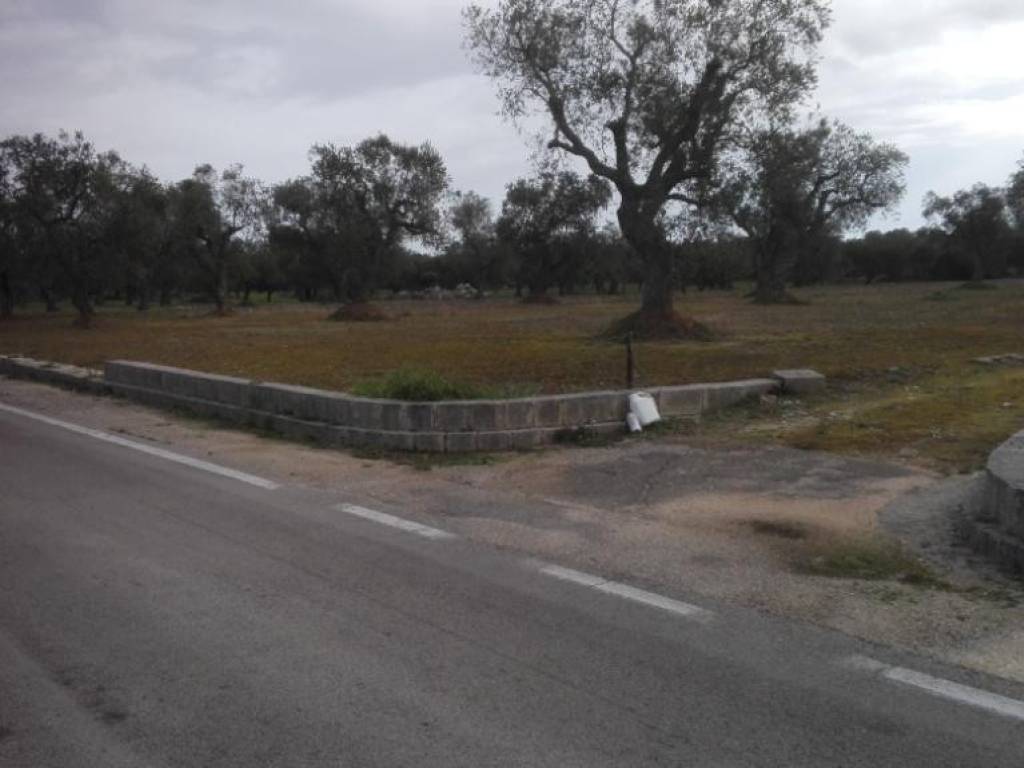 Terreno a Melendugno - Foto 3