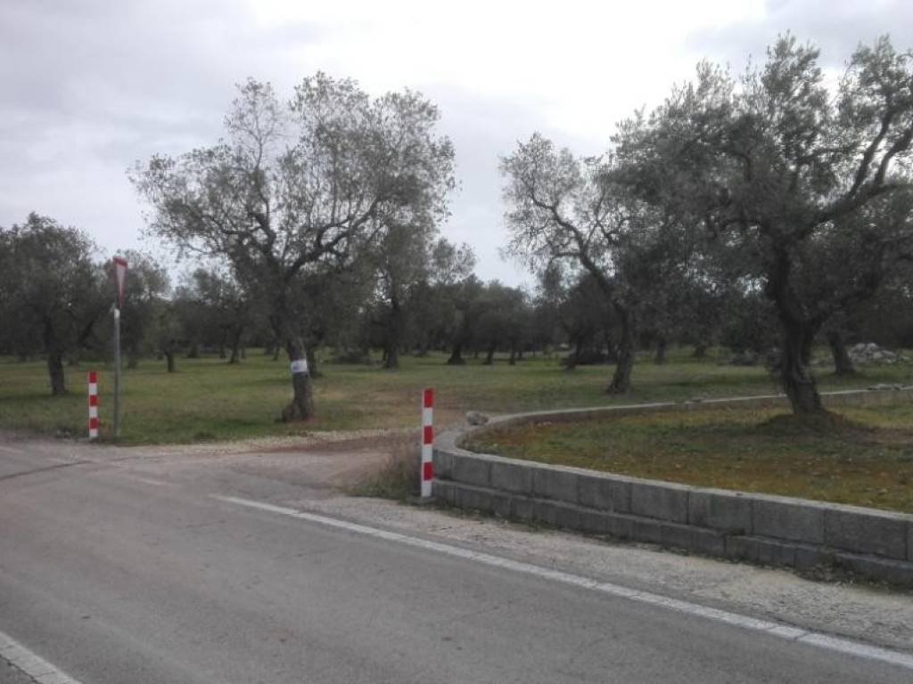 Terreno a Melendugno - Foto 4