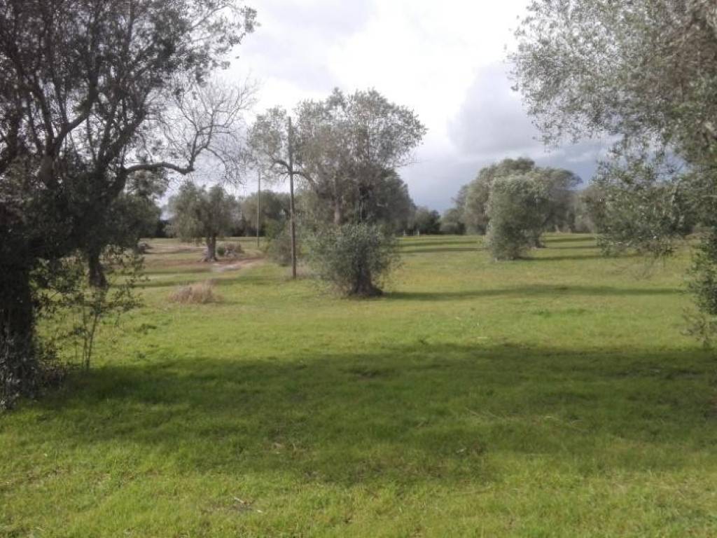 Terreno a Melendugno - Foto 5