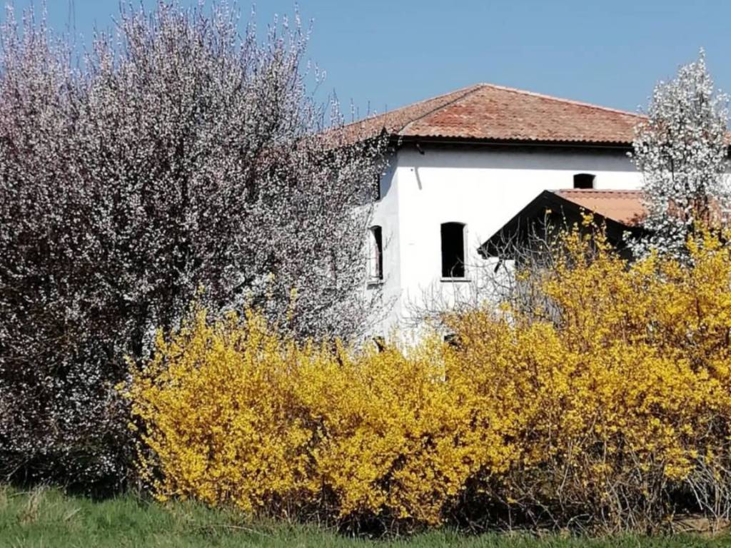 Rustico / casale a Cadelbosco di sopra - Foto 5