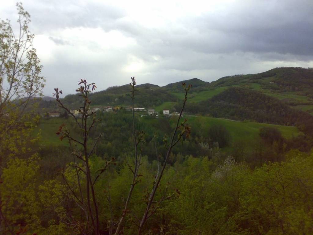 Rustico / casale a Viano - Foto 2