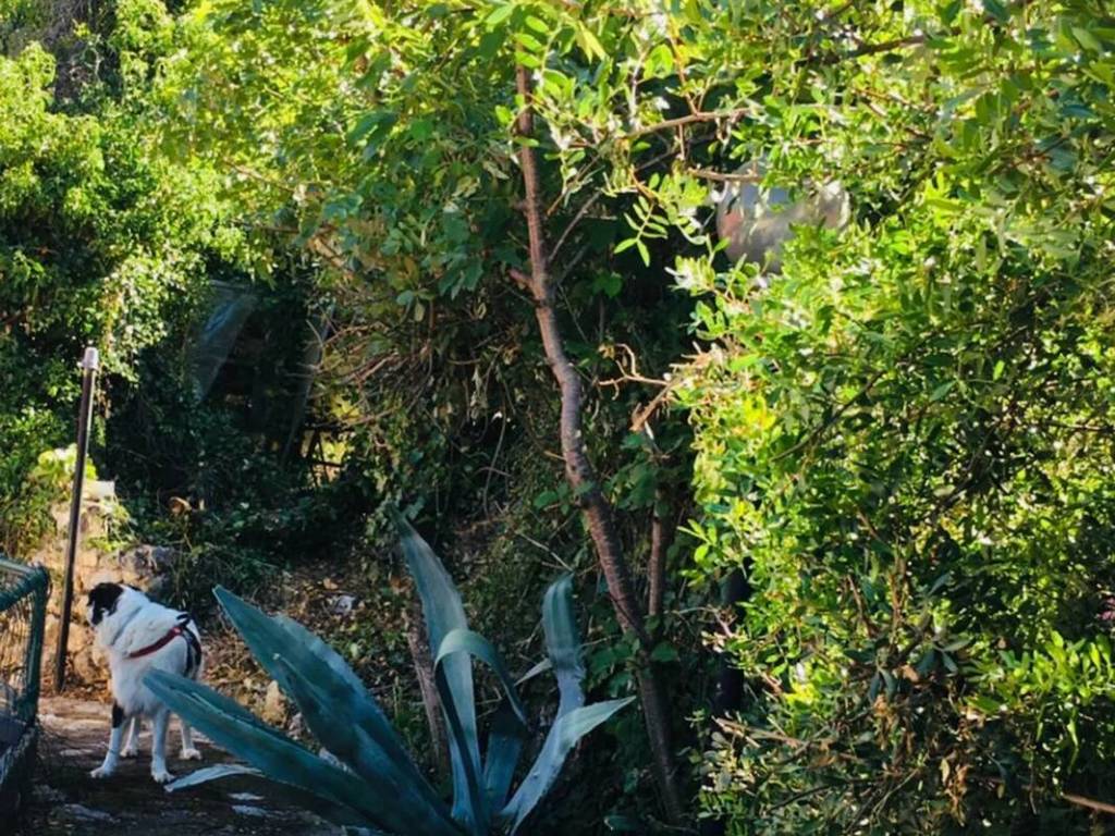 Appartamento a Itri in Contrada Pagnano Traversa 2 - Foto 4