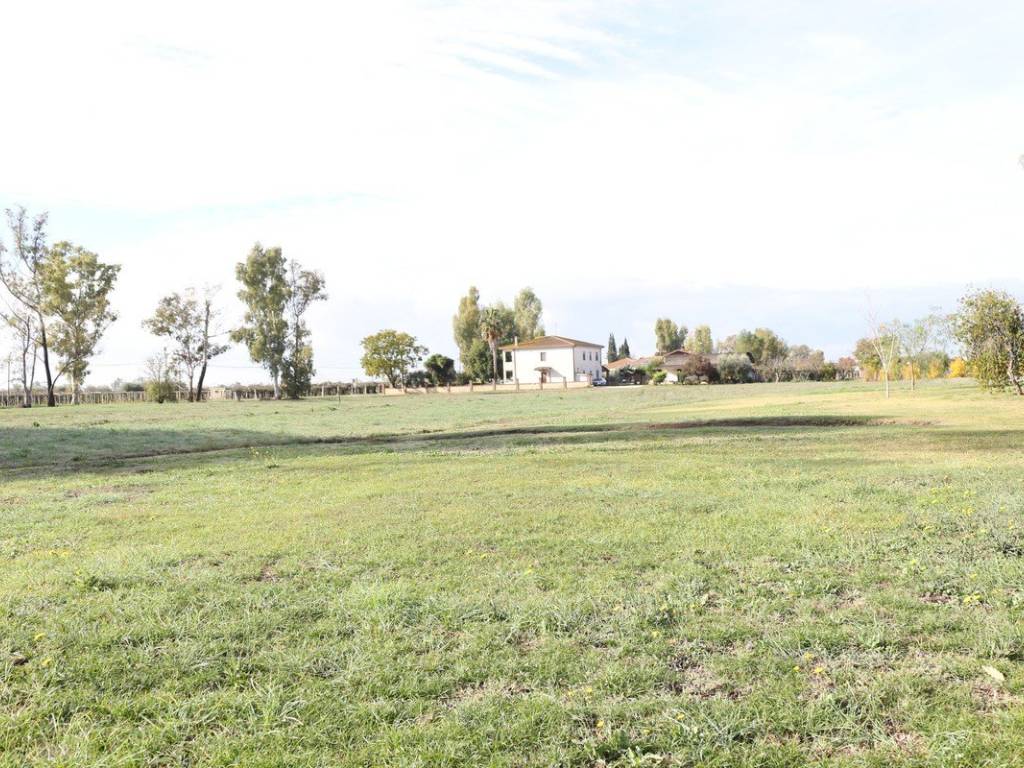 Terreno a Cisterna di latina - Foto 2