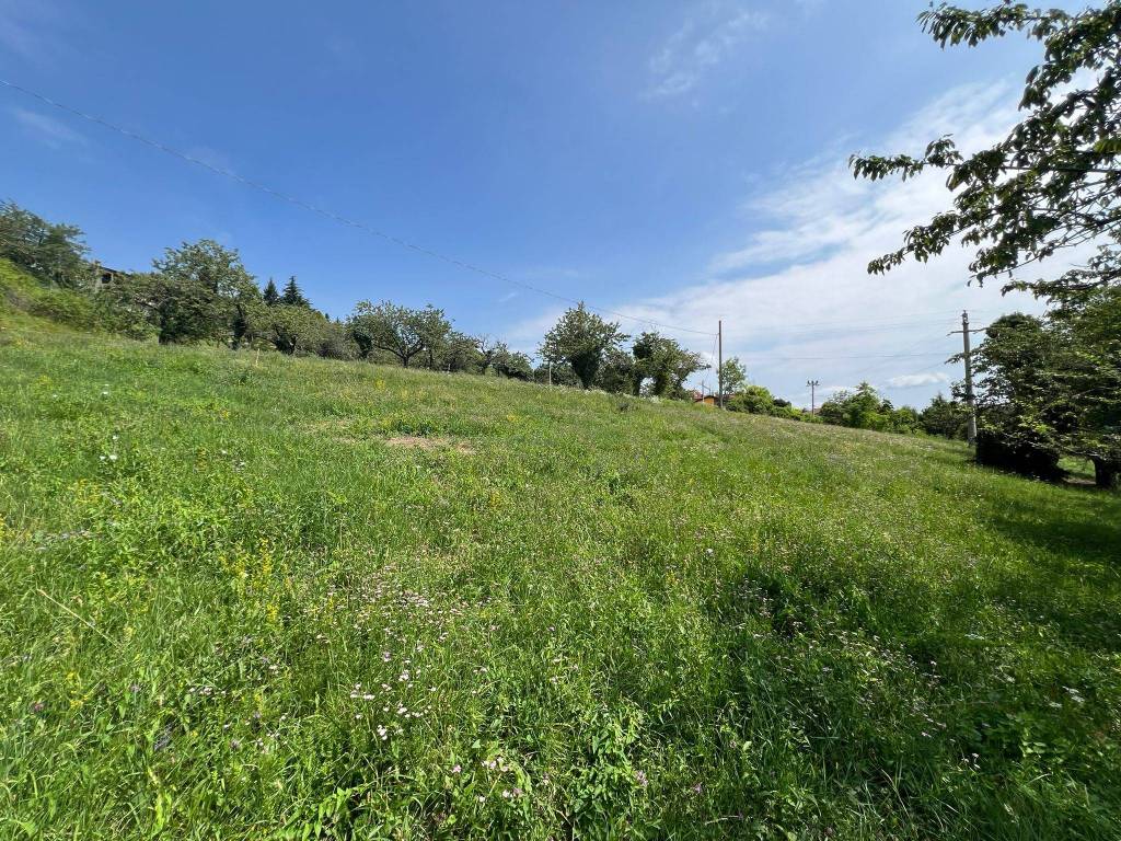 Terreno a Badia calavena in Via Roari - Foto 3