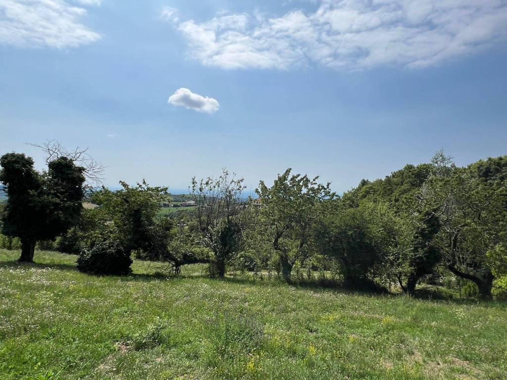 Terreno a Badia calavena in Via Roari - Foto 5