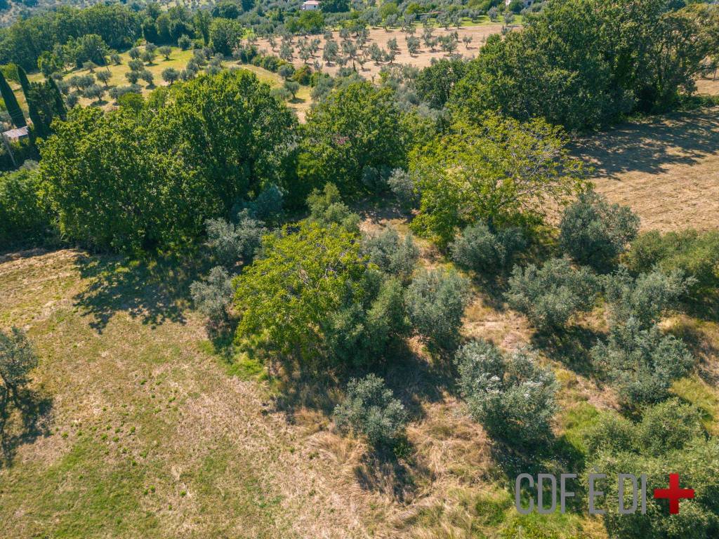 Terreno a Mompeo in Via della Fonte - Foto 4