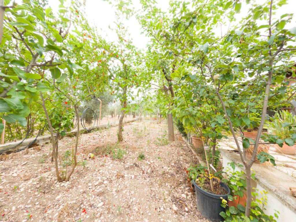 Villa a Monte sant'angelo in LOCALITA TRE MARITI, 1 - Foto 3